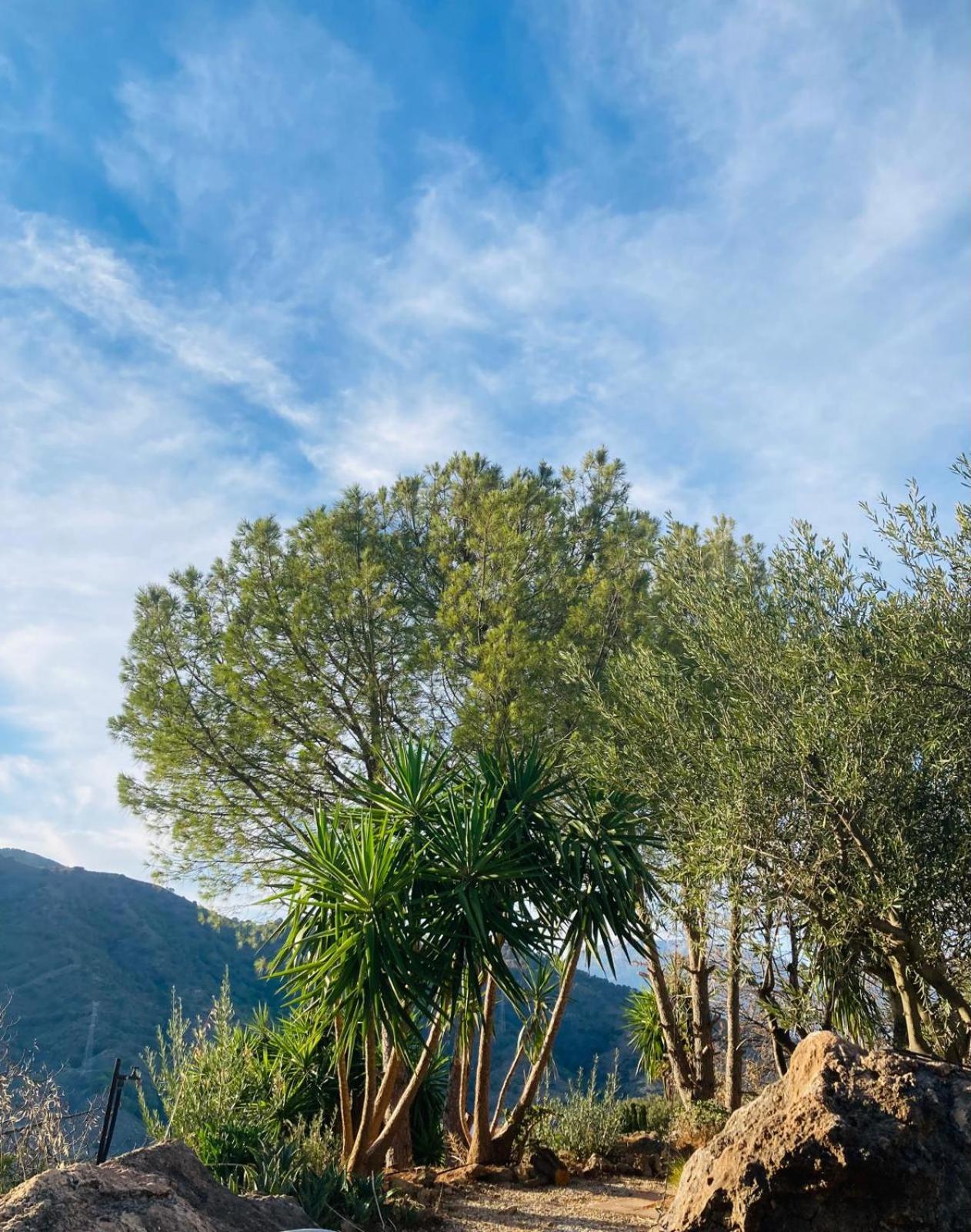 Casa Del Sueno Bed and Breakfast Alora Εξωτερικό φωτογραφία