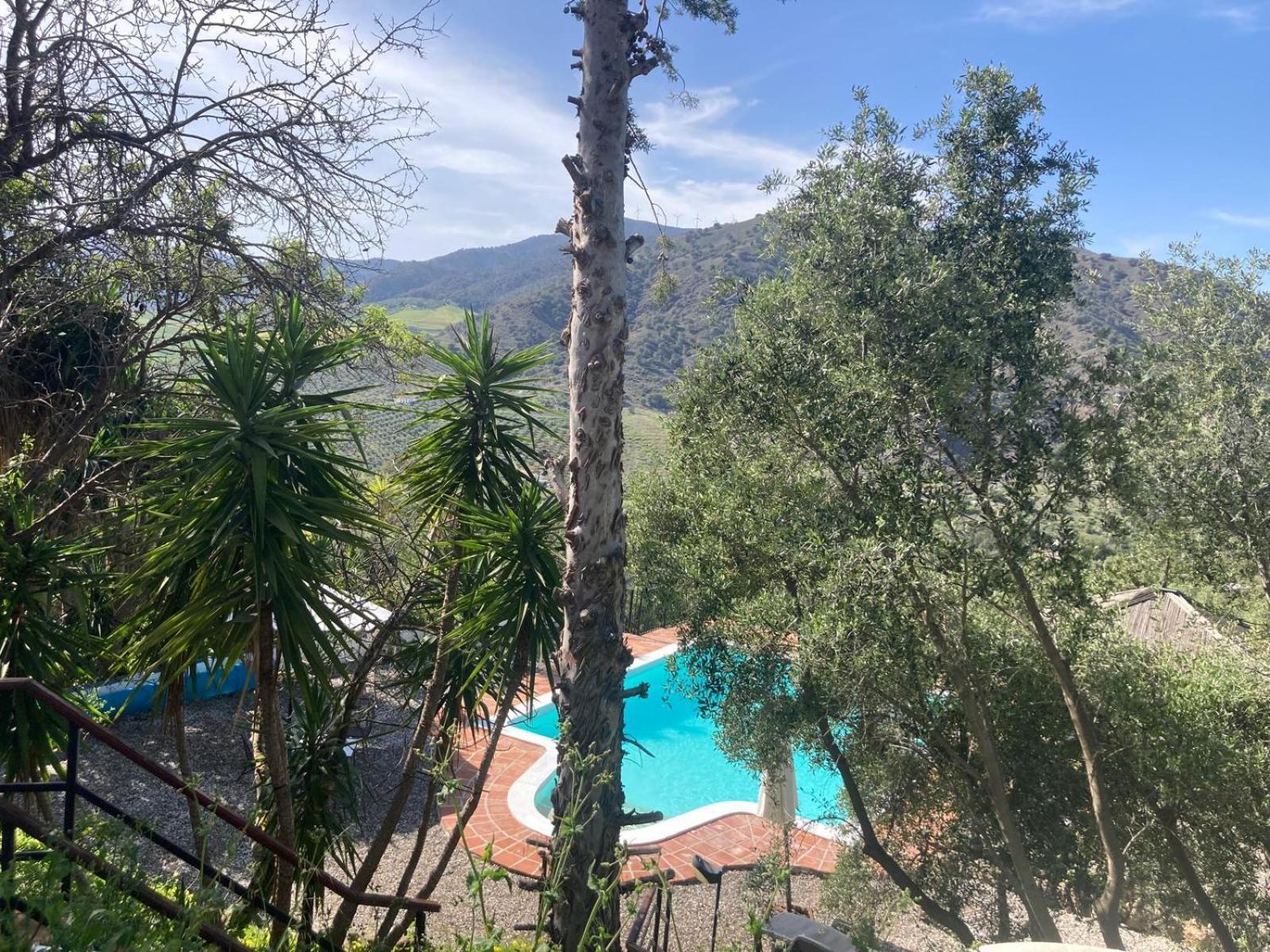 Casa Del Sueno Bed and Breakfast Alora Εξωτερικό φωτογραφία